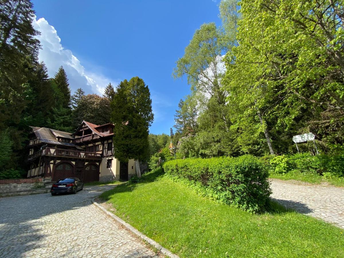 Maison d'hôtes De Argint Aleea Pelesului Nr 2 3*