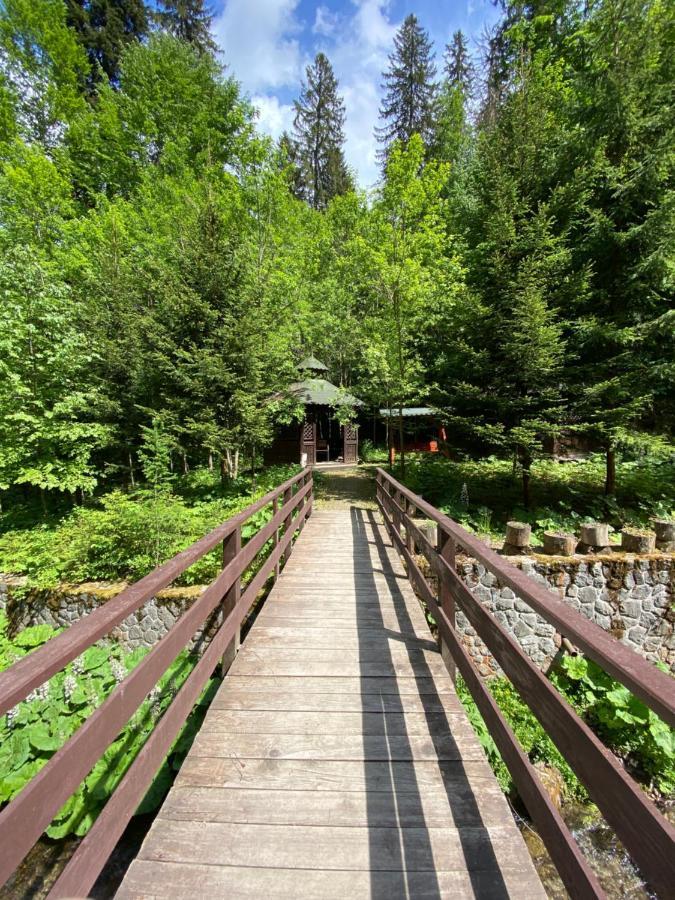 De Argint Aleea Pelesului Nr 2 3* Sinaia
