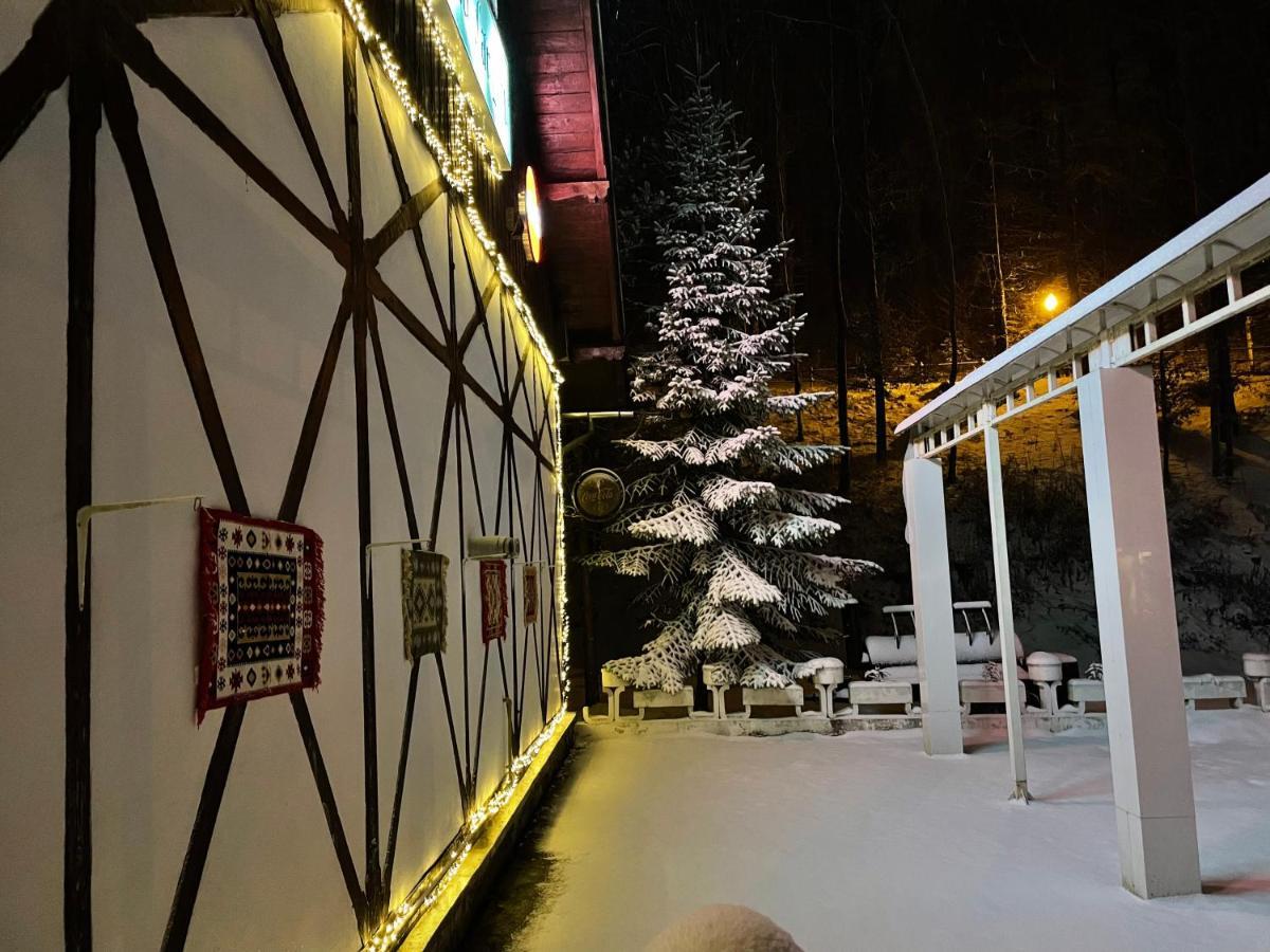De Argint Aleea Pelesului Nr 2 Guest house
