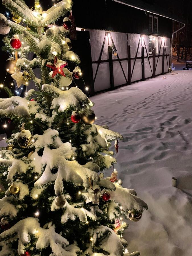 De Argint Aleea Pelesului Nr 2 3* Sinaia