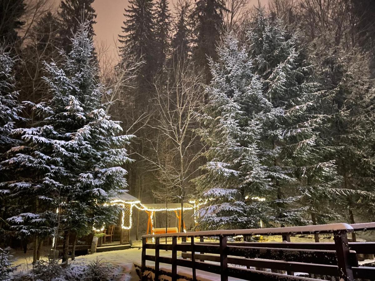Guest house De Argint Aleea Pelesului Nr 2 Sinaia