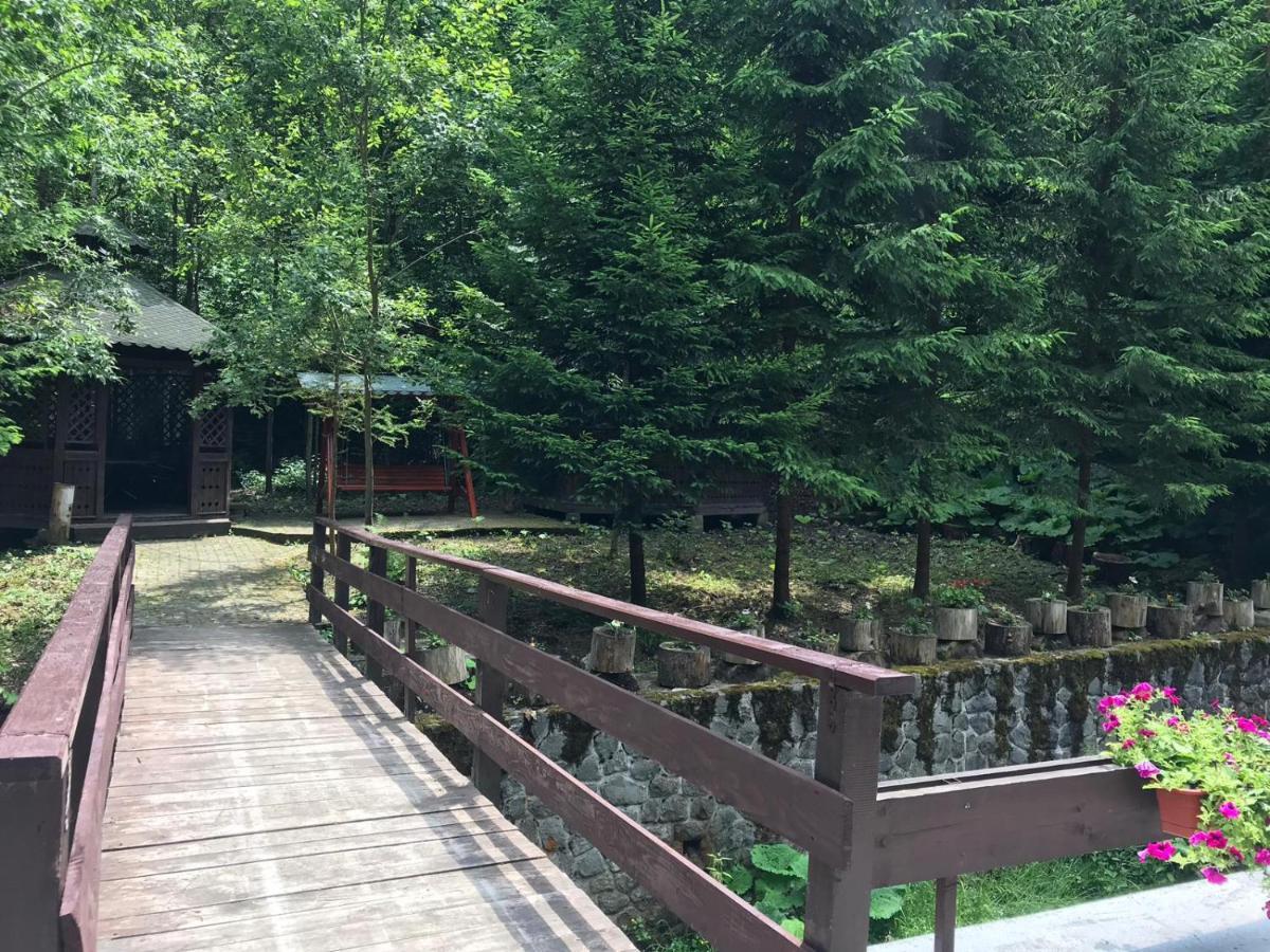 Guest house De Argint Aleea Pelesului Nr 2 Sinaia